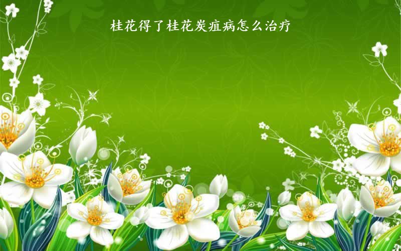 桂花得了桂花炭疽病怎么治疗