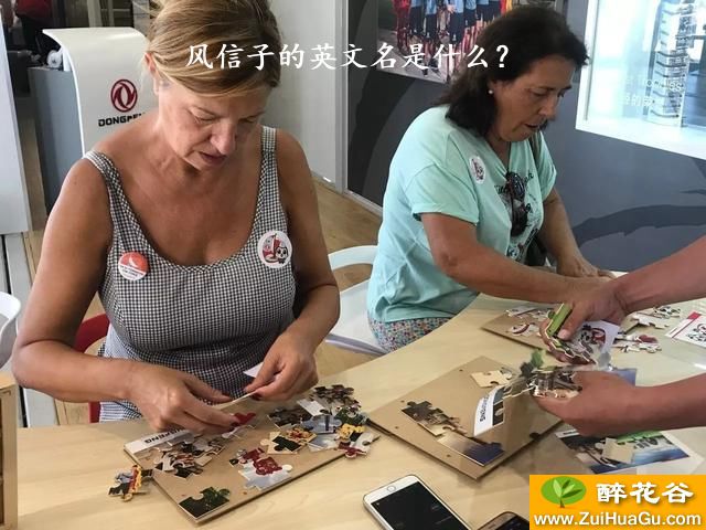 风信子的英文名是什么？