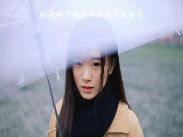 桃花得了褐烟曲霉病怎么治疗